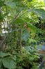 IGA-Reisen-2017-Berlin-Gaerten-der-Welt-170727-DSC_1843.jpg